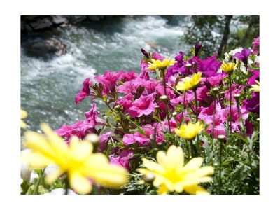 Apartment AP Edelweiss /2 Schlafz./DU/WC - Features photo 22