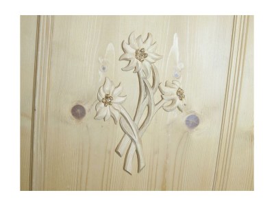 Apartment AP Edelweiss /2 Schlafz./DU/WC - Features photo 25