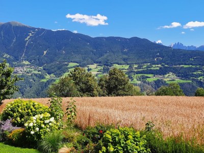 Chalet Praterhof in Brixen - Chalet