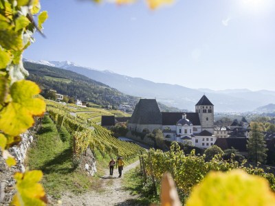 Chalet Praterhof - Environment photo 16