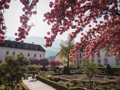 Chalet Praterhof - Environment photo 22