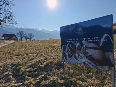 Chalet Praterhof - Document photo 32