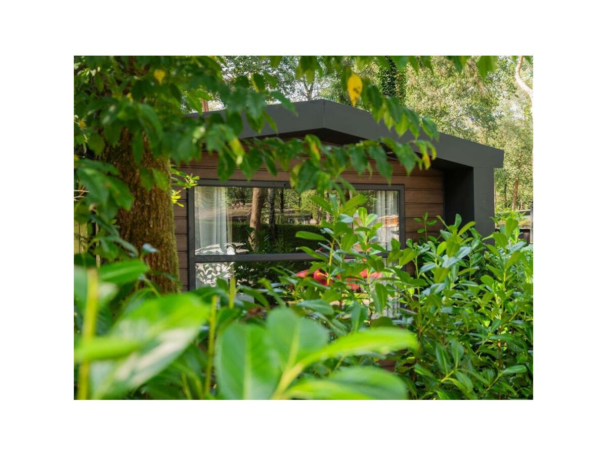 Holiday house Forest Finest, luxury chalet with HOT TUB - Outdoor photo 4