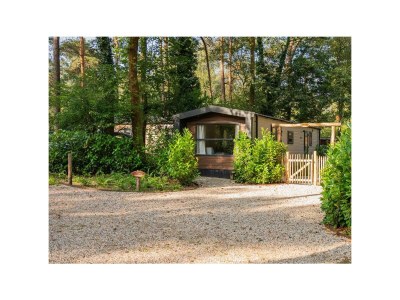 Holiday house Forest Finest, luxury chalet with HOT TUB - Outdoor photo 11