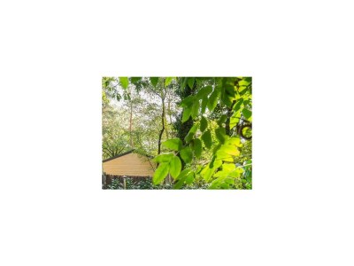 Holiday house Forest Finest, luxury chalet with HOT TUB - Outdoor photo 12