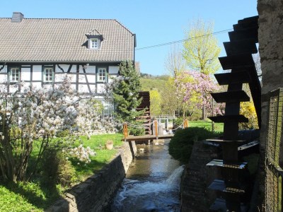Apartment Appartement/Fewo, Dusche und Bad, WC, 2 Schlafräum - Outdoor photo 10