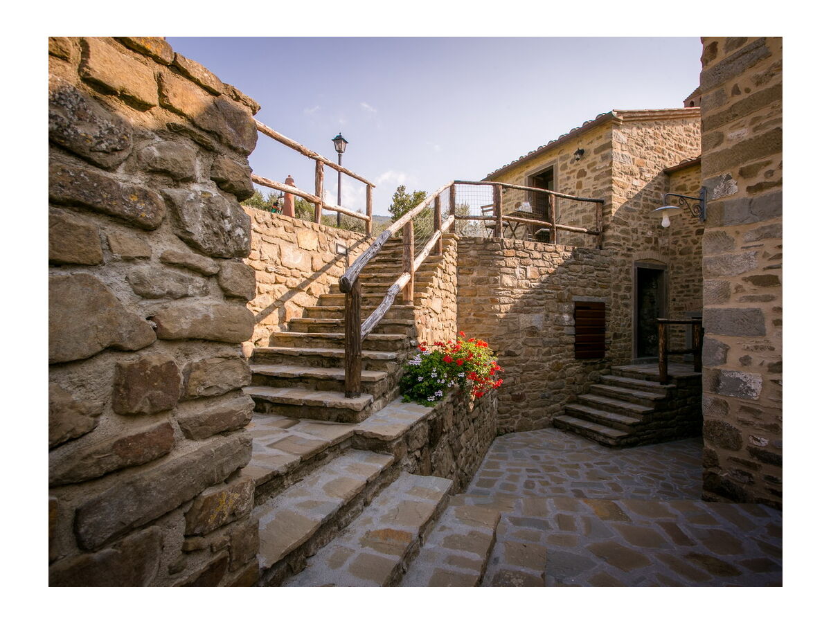 Holiday house San Martino agli Ulivi - Outdoor photo 3