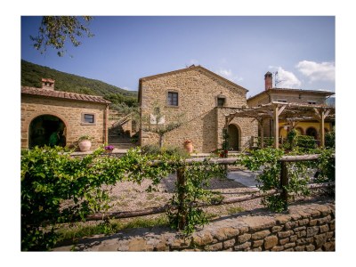 Holiday house San Martino agli Ulivi - Outdoor photo 8