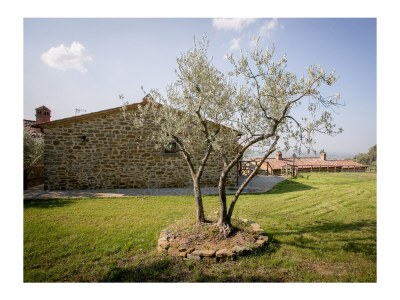 Holiday house San Martino agli Ulivi - Environment photo 18