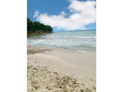 Holiday apartment No title - Environment photo 16