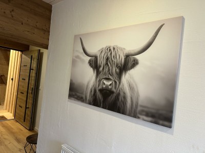 Apartment Klimmspitze - Features photo 32