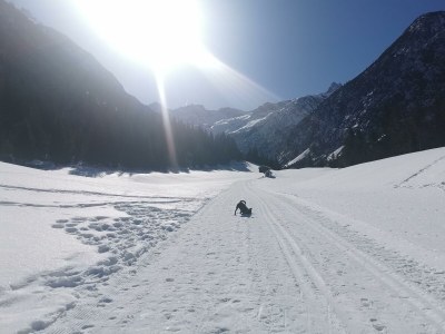 Apartment Klimmspitze - Features photo 36