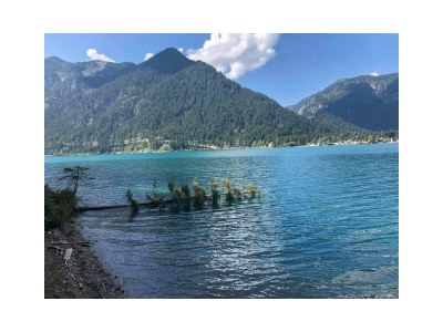 Apartment Klimmspitze - Features photo 41