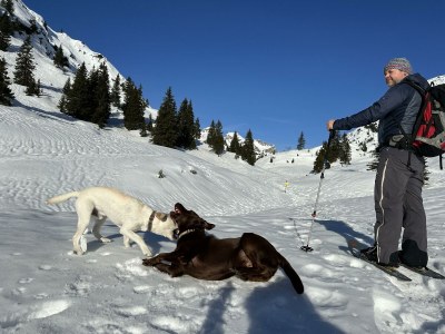 Apartment Klimmspitze - Features photo 42