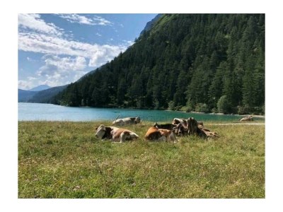 Apartment Klimmspitze - Features photo 46