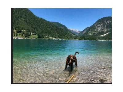 Apartment Klimmspitze - Features photo 47