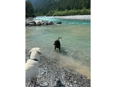 Apartment Klimmspitze - Features photo 54