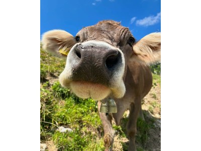 Apartment Klimmspitze - Features photo 58