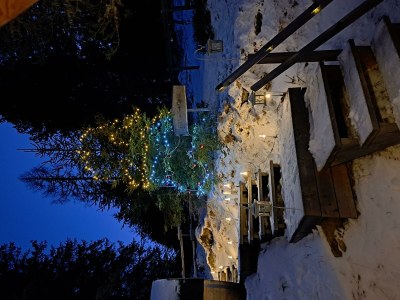 Holiday room Ferienhaus, Dusche und Bad, WC, waldseitig - Outdoor photo 10