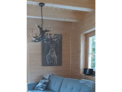 Holiday room Ferienhaus, Dusche und Bad, WC, waldseitig - Outdoor photo 26