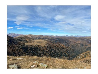 Holiday room Ferienhaus, Dusche und Bad, WC, waldseitig - Outdoor photo 42