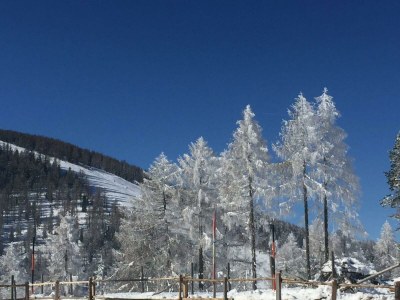 Holiday room Ferienhaus, Dusche und Bad, WC, waldseitig - Outdoor photo 44