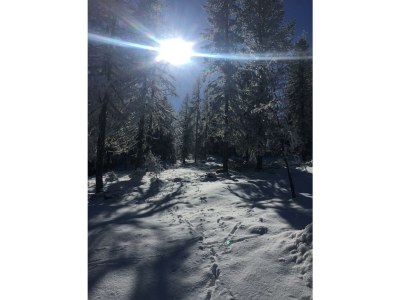 Holiday room Ferienhaus, Dusche und Bad, WC, waldseitig - Outdoor photo 47