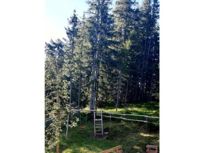 Holiday room Ferienhaus, Dusche und Bad, WC, waldseitig - Outdoor photo 49