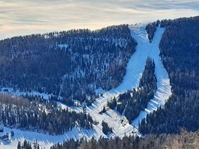 Holiday room Ferienhaus, Dusche und Bad, WC, waldseitig - Outdoor photo 57
