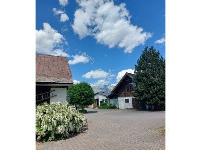Apartment Appartement am Moserhof - Outdoor photo 4