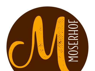 Apartment Appartement am Moserhof - Outdoor photo 17