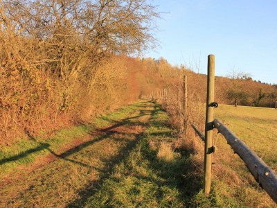 Apartment Fereinwohnung Klimek - Outdoor photo 4