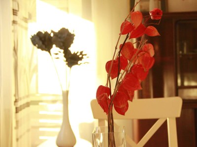 Apartment Fereinwohnung Klimek - Features photo 9