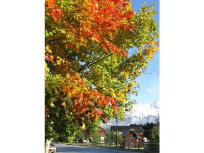 Apartment Appartement- 3 Schlafräume - Outdoor photo 4