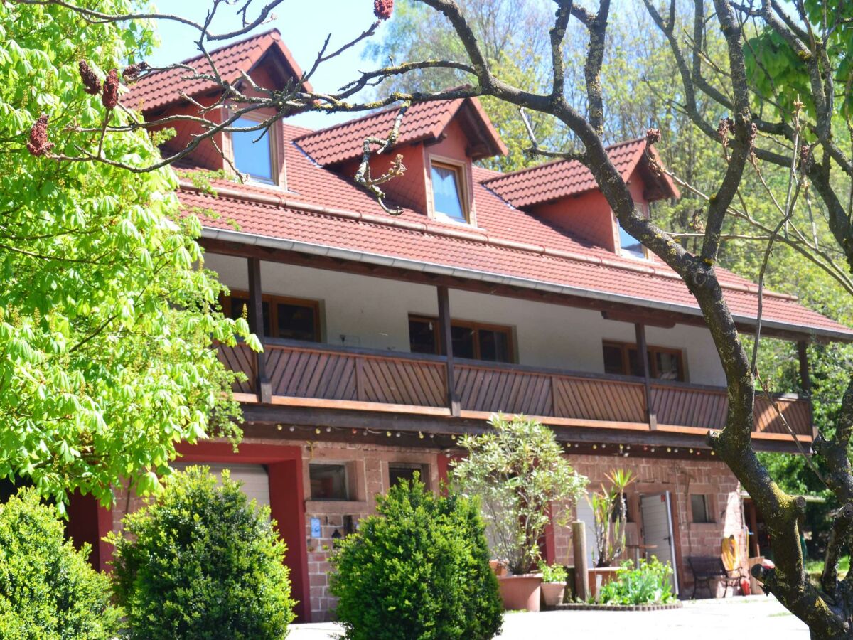 Apartment Ferienwohnung Köln