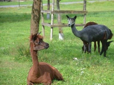 Apartment Ferienwohnung Köln - Outdoor photo 7