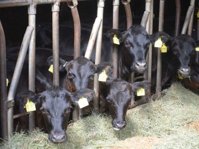 Apartment Ferienwohnung Köln - Outdoor photo 9