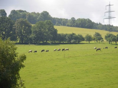 Apartment Ferienwohnung Köln - Outdoor photo 11