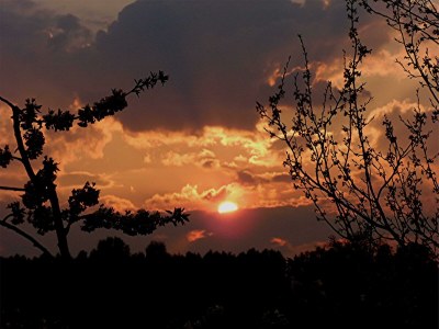 Apartment Ferienwohnung Schanbacher - Outdoor photo 9