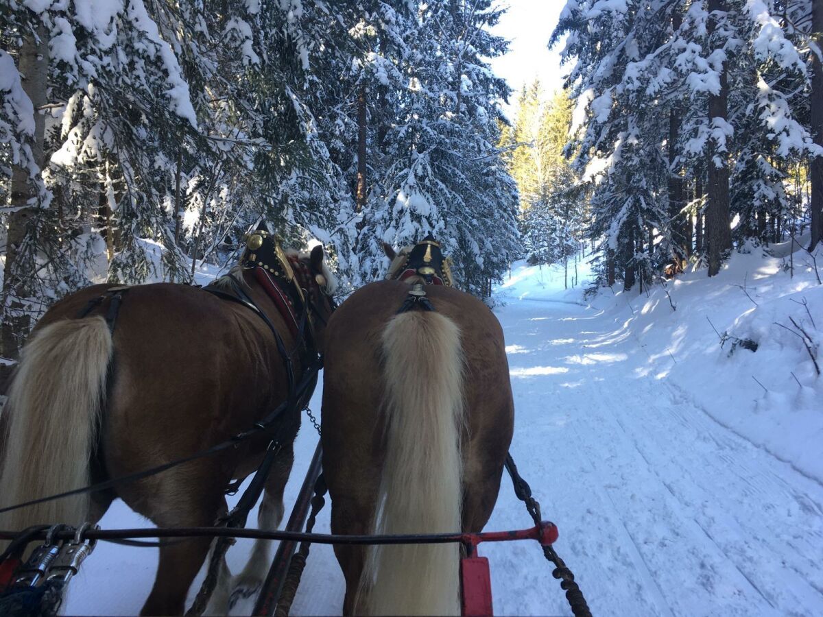 Apartment Appartement/Fewo, Bad, WC, 4 Schlafräume - Outdoor photo 5