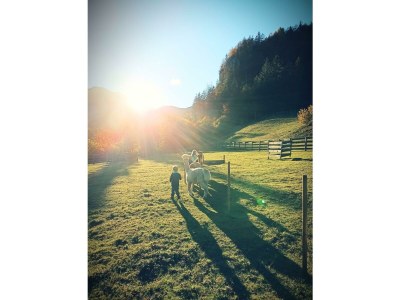 Apartment Appartement/Fewo, Bad, WC, 4 Schlafräume - Outdoor photo 4