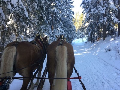 Apartment Appartement/Fewo, Bad, WC, 4 Schlafräume - Outdoor photo 5