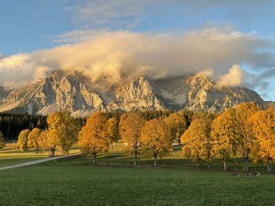 Apartment Appartement/Fewo, Bad, WC, 4 Schlafräume - Outdoor photo 10