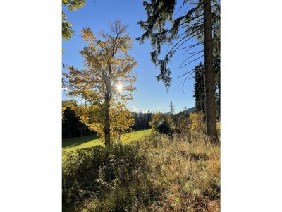 Apartment Appartement/Fewo, Bad, WC, 4 Schlafräume - Outdoor photo 11