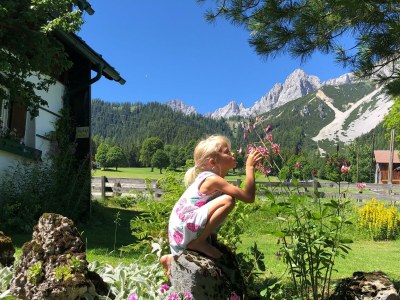 Apartment Ferienhaus/3 Schlafräume/ Dusche, WC - Outdoor photo 41