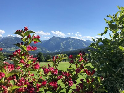 Apartment Ferienhaus/3 Schlafräume/ Dusche, WC - Outdoor photo 44