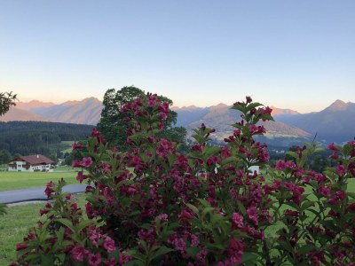 Apartment Ferienhaus/3 Schlafräume/ Dusche, WC - Outdoor photo 62