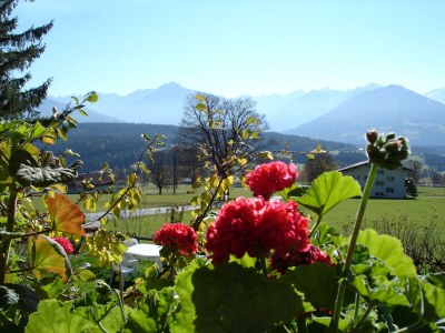 Apartment Ferienhaus/3 Schlafräume/ Dusche, WC - Features photo 67