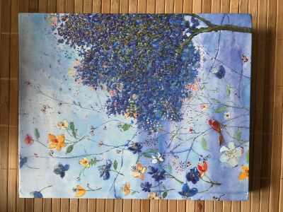 Apartment Appartement/Fewo, Dusche, 1 Schlafraum - Outdoor photo 30