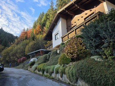 Apartment Appartement/Fewo, Dusche, 1 Schlafraum - Features photo 41